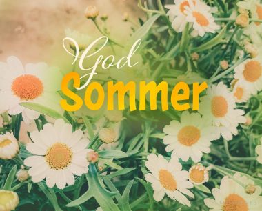 SOMMERSTENGT PÅ KONTORET - thumbnail